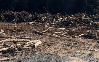 Residues – rubbish or resource?