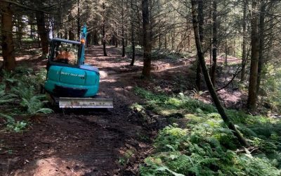 New Kaitangata walking track