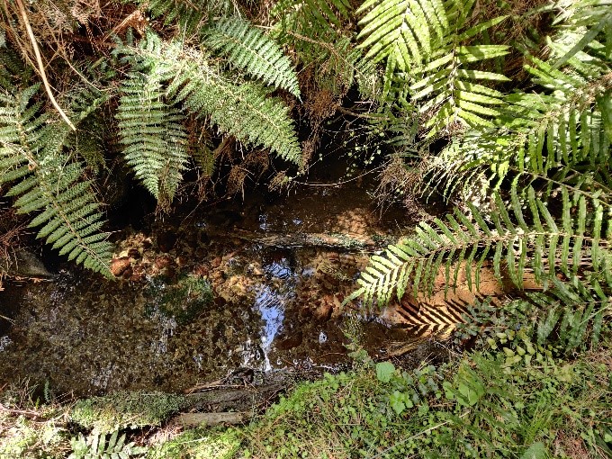 Stream monitoring in Southland